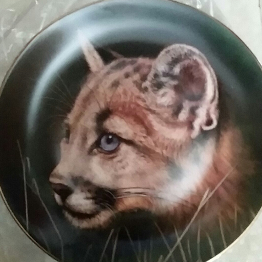 Cougar Cub Collector Plate